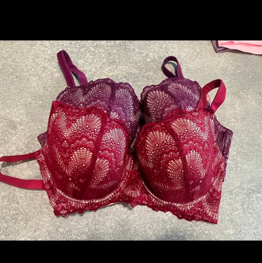 Two Women’s Camio Mio Lace Bras (2)